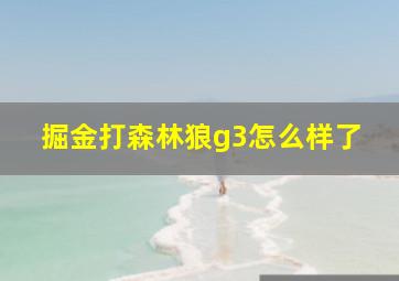 掘金打森林狼g3怎么样了