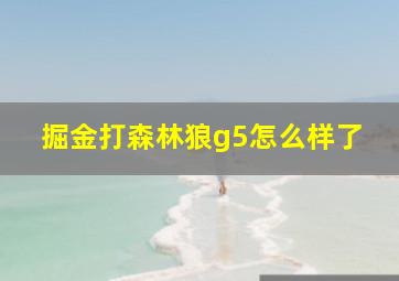 掘金打森林狼g5怎么样了