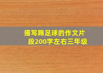 描写踢足球的作文片段200字左右三年级