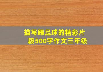 描写踢足球的精彩片段500字作文三年级