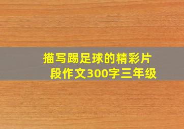 描写踢足球的精彩片段作文300字三年级