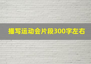 描写运动会片段300字左右