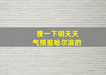 搜一下明天天气预报哈尔滨的