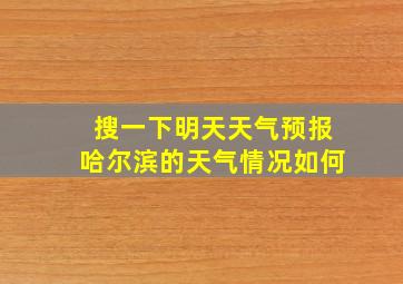 搜一下明天天气预报哈尔滨的天气情况如何