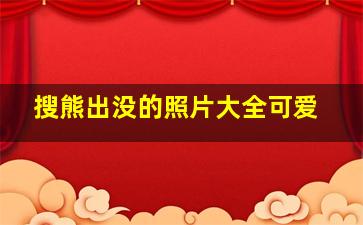 搜熊出没的照片大全可爱