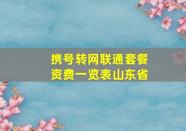 携号转网联通套餐资费一览表山东省