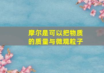 摩尔是可以把物质的质量与微观粒子