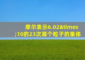 摩尔表示6.02×10的23次幂个粒子的集体