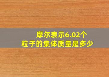 摩尔表示6.02个粒子的集体质量是多少