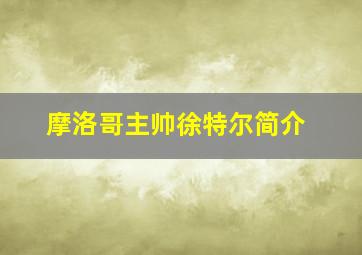 摩洛哥主帅徐特尔简介