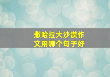 撒哈拉大沙漠作文用哪个句子好