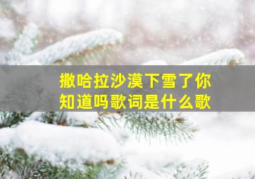 撒哈拉沙漠下雪了你知道吗歌词是什么歌