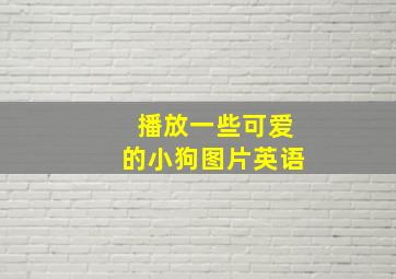 播放一些可爱的小狗图片英语