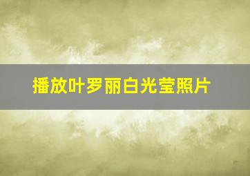 播放叶罗丽白光莹照片