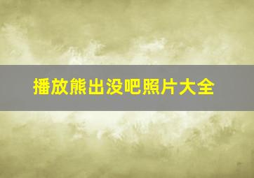 播放熊出没吧照片大全