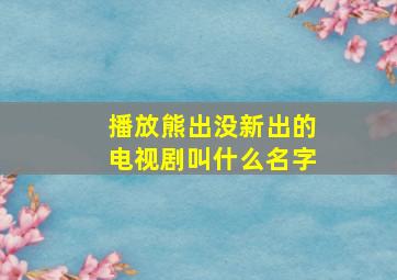 播放熊出没新出的电视剧叫什么名字