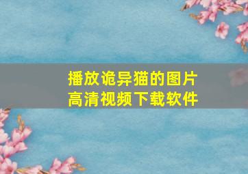 播放诡异猫的图片高清视频下载软件