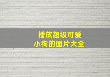 播放超级可爱小狗的图片大全