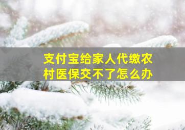 支付宝给家人代缴农村医保交不了怎么办