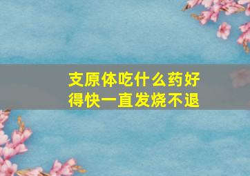 支原体吃什么药好得快一直发烧不退