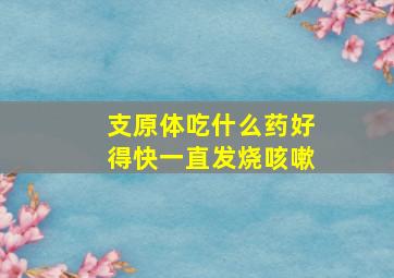 支原体吃什么药好得快一直发烧咳嗽