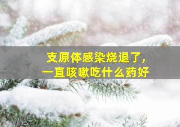 支原体感染烧退了,一直咳嗽吃什么药好