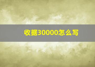 收据30000怎么写