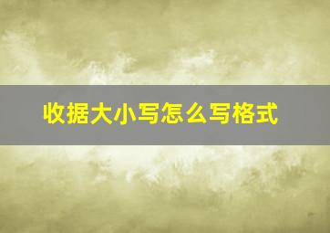 收据大小写怎么写格式