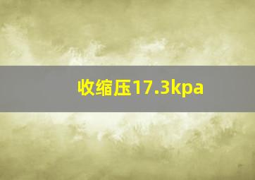 收缩压17.3kpa