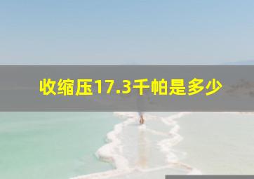 收缩压17.3千帕是多少