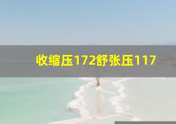 收缩压172舒张压117