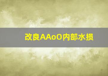 改良AAoO内部水损