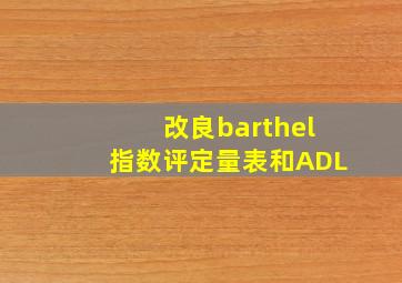 改良barthel指数评定量表和ADL