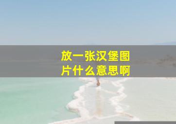 放一张汉堡图片什么意思啊