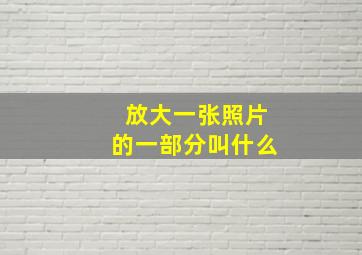 放大一张照片的一部分叫什么