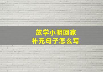 放学小明回家补充句子怎么写