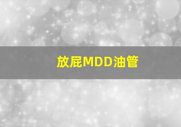 放屁MDD油管