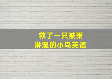 救了一只被雨淋湿的小鸟英语