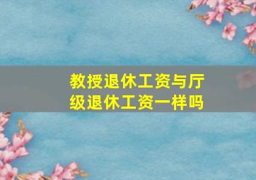 教授退休工资与厅级退休工资一样吗