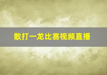 散打一龙比赛视频直播