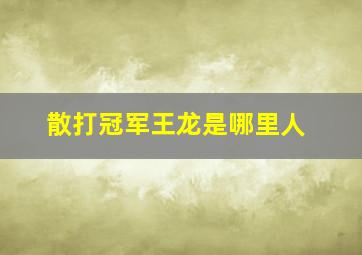 散打冠军王龙是哪里人