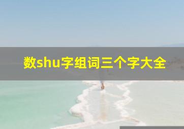 数shu字组词三个字大全