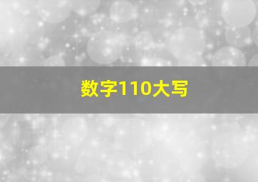 数字110大写