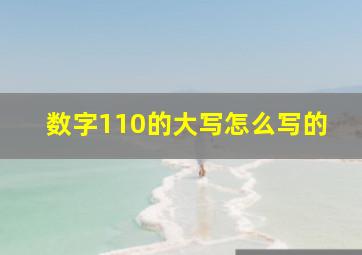 数字110的大写怎么写的