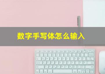 数字手写体怎么输入