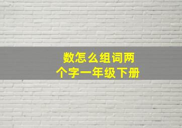 数怎么组词两个字一年级下册