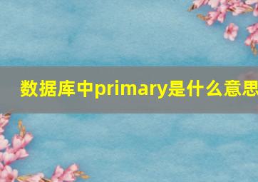 数据库中primary是什么意思