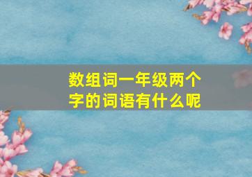 数组词一年级两个字的词语有什么呢