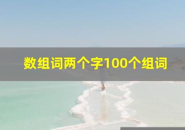 数组词两个字100个组词