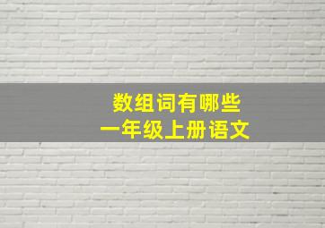 数组词有哪些一年级上册语文